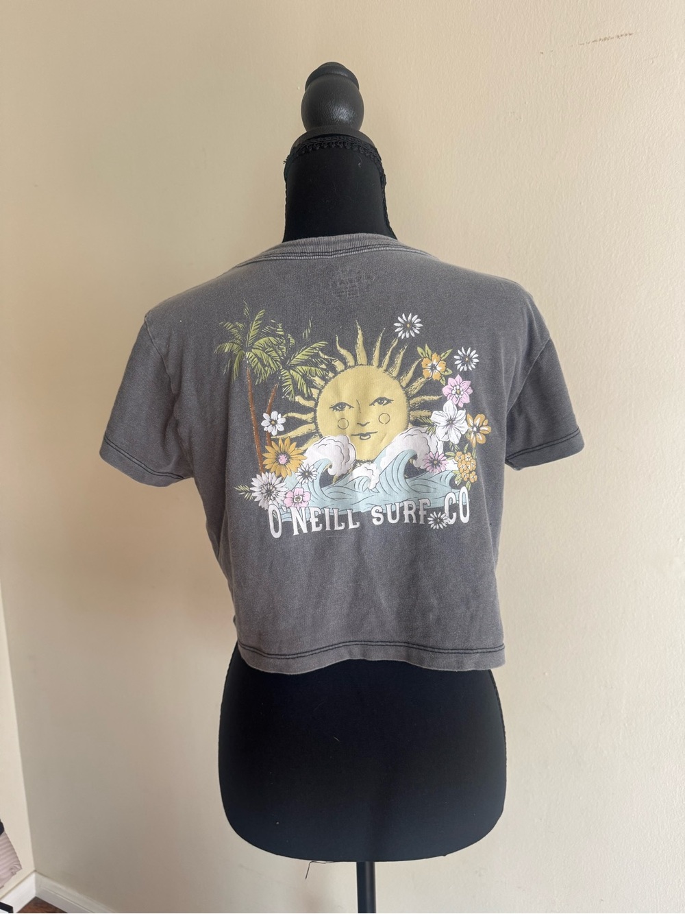 Women's Gray Cropped Graphic Tee